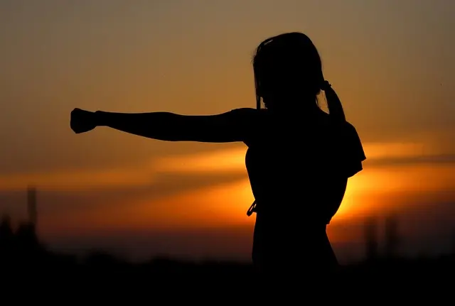 Ultimate Martial Arts Beginners Guide